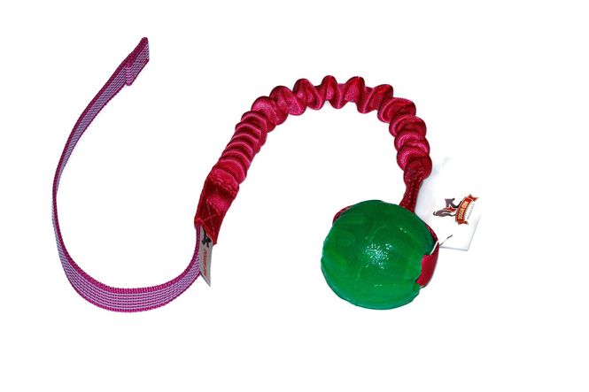 Hovedbilde Elastisk Sure Grip Funball-kampis str M