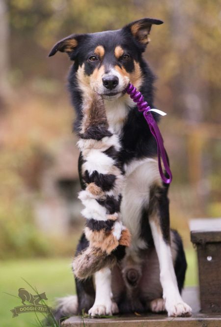 Hovedbilde Elastisk pelsflette L med blandet ekte pels