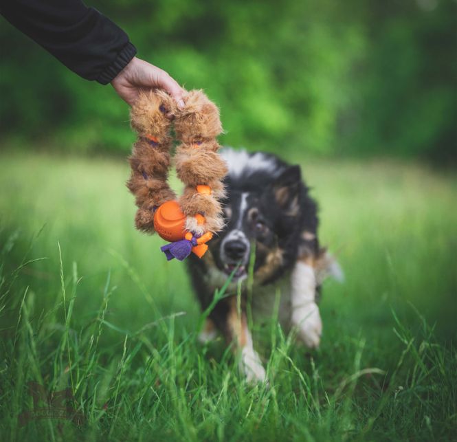 Hovedbilde Fleece- & kaninflätring med Chuckit M 