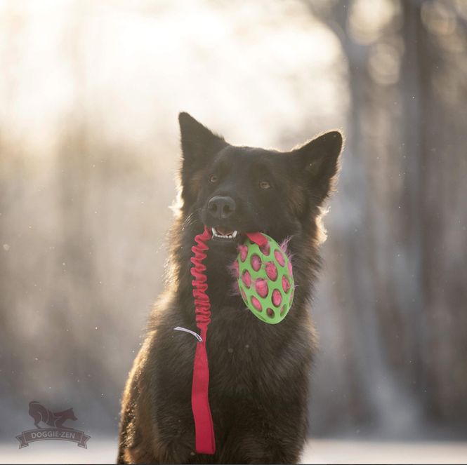 Hovedbilde Elastisk Hol-ee Football-kampis med ...